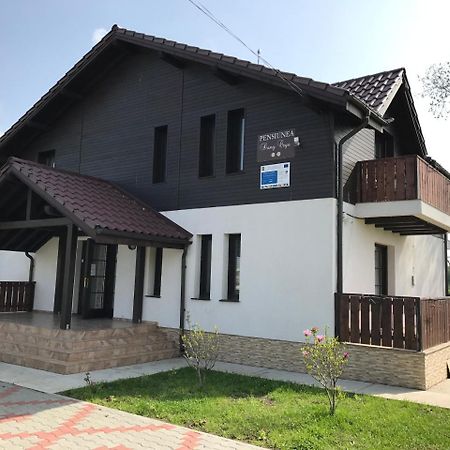 Pensiunea Dany - Crys Zvoristea Exterior foto
