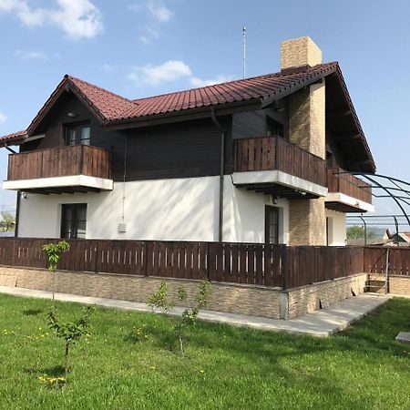 Pensiunea Dany - Crys Zvoristea Exterior foto